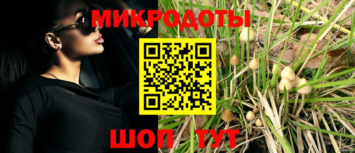 Галлюциногенные грибы Psilocybe  Вход с VPN  Апрелевка 